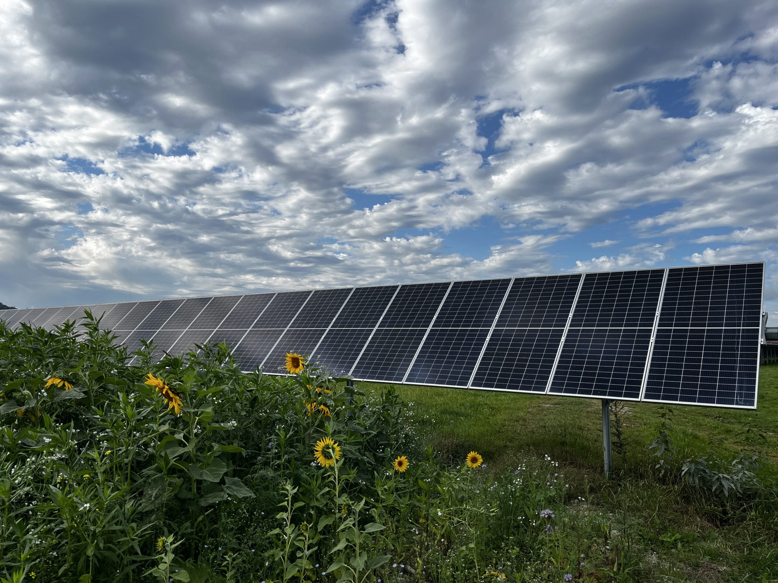 Agri-PV_Pöchlarn_2