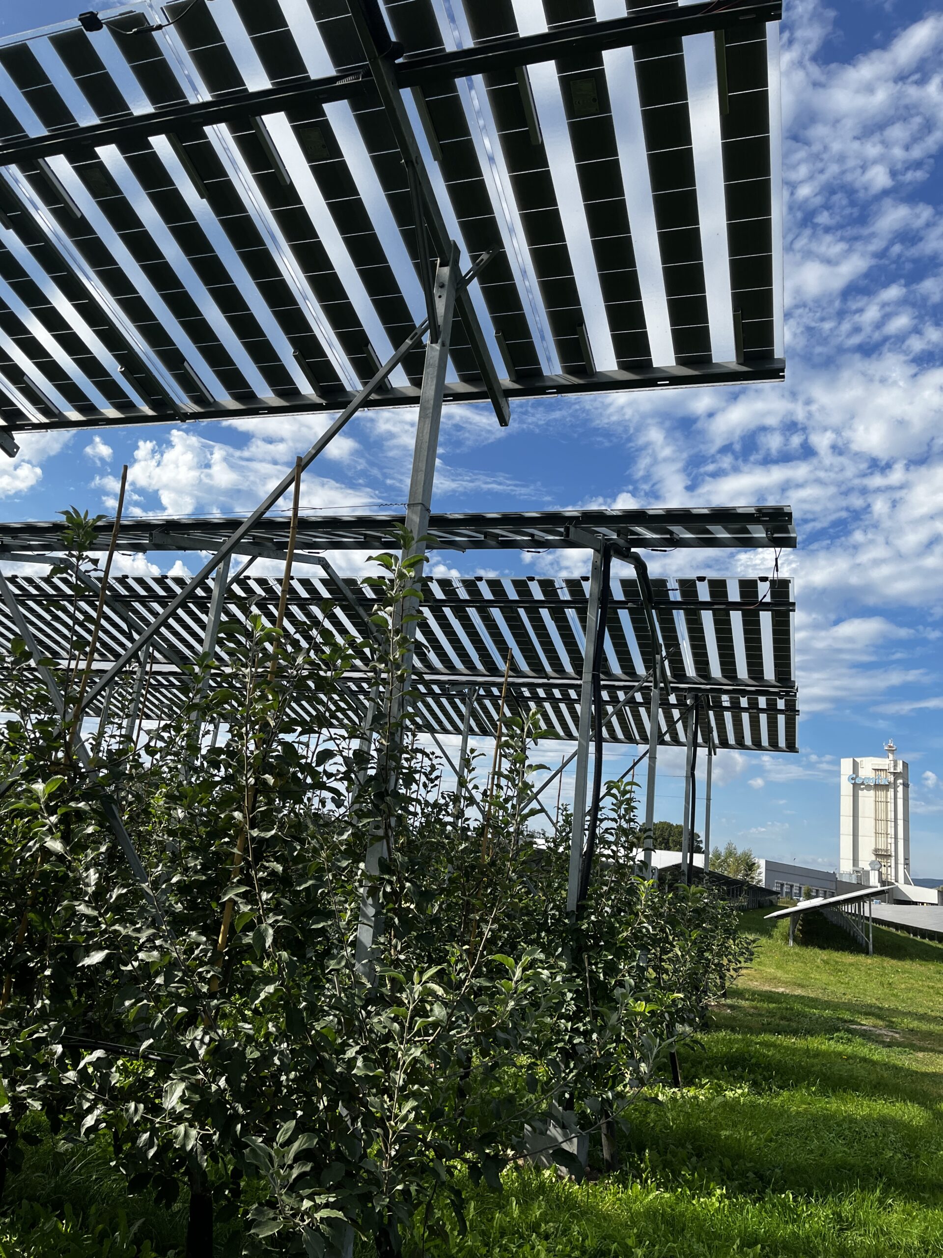 Agri-PV_Pöchlarn_5