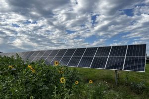 Agri-PV_Pöchlarn_2